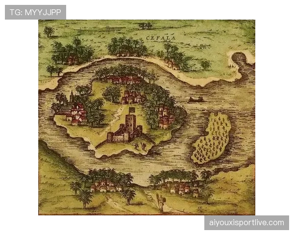 尼斯现有立足之地是实力基础还是形势误判